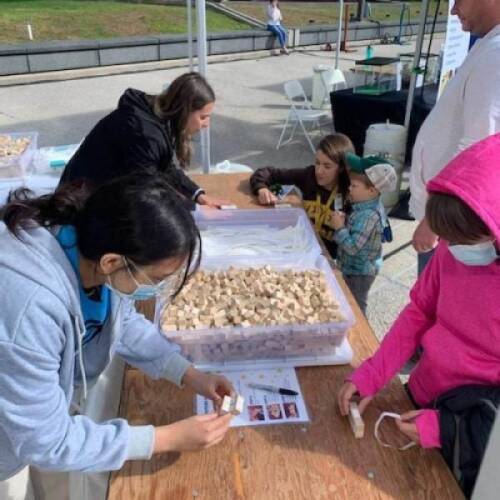 PCEC Invites Community Members to Engage in STEM Activities During Confluence Festival